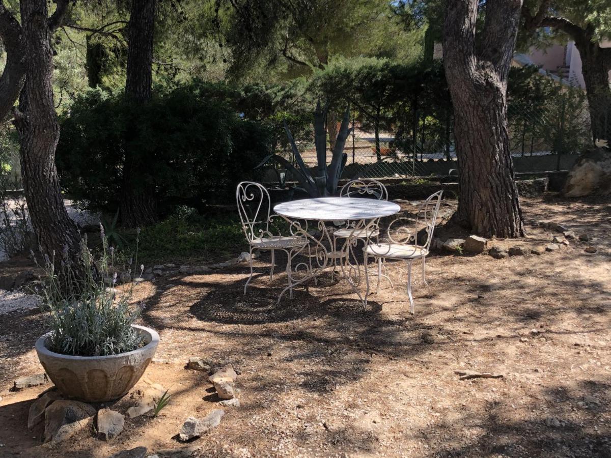 Provencale - Grand Jardin - 2